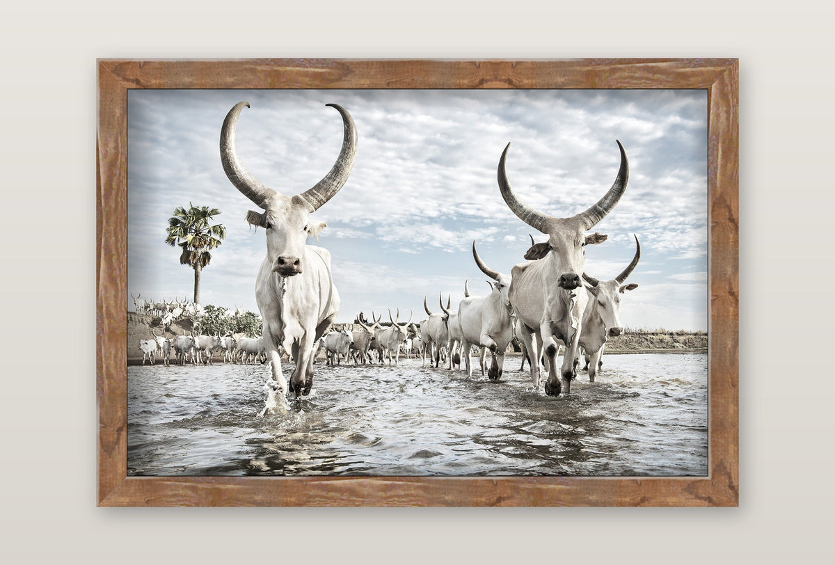 framed