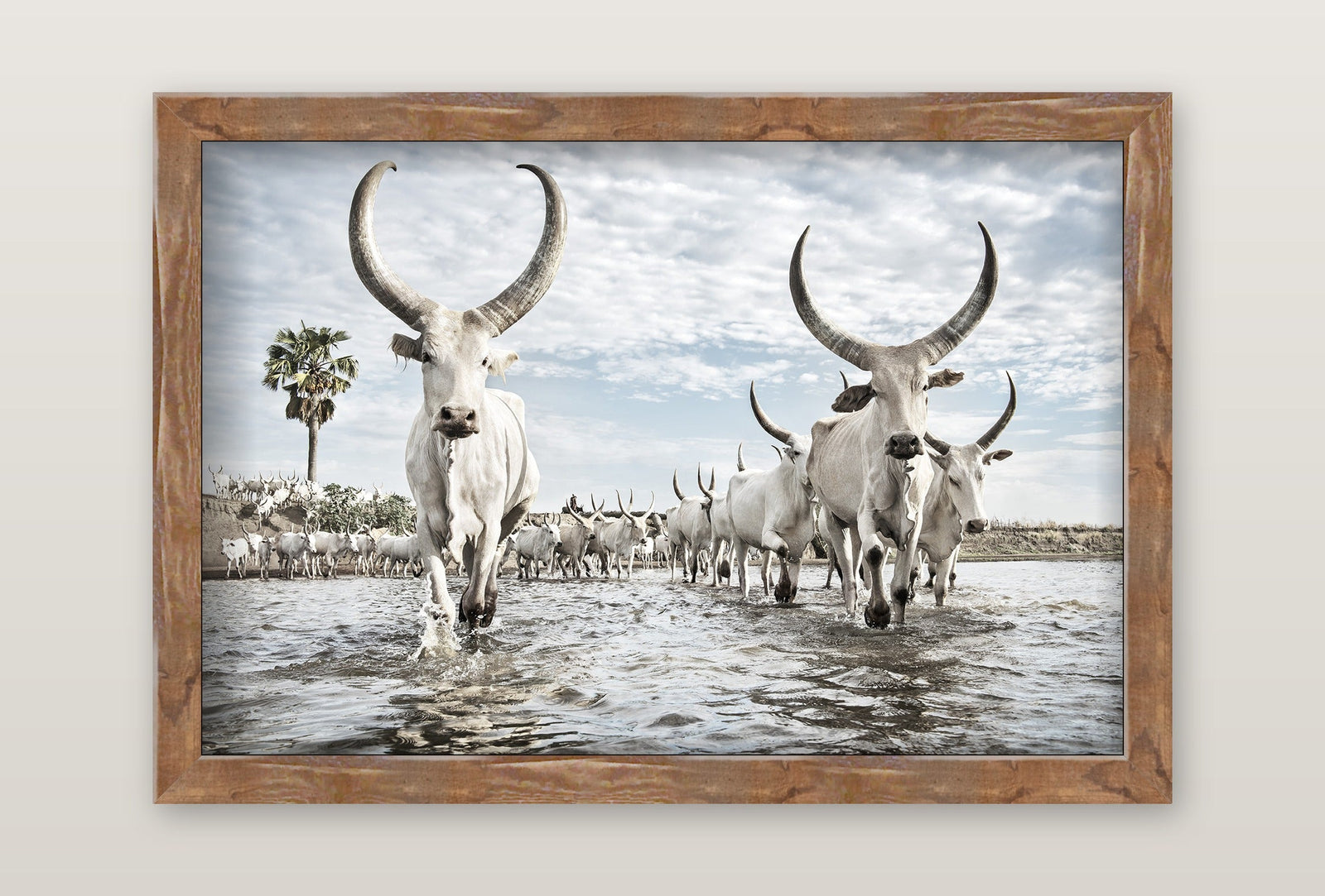 framed