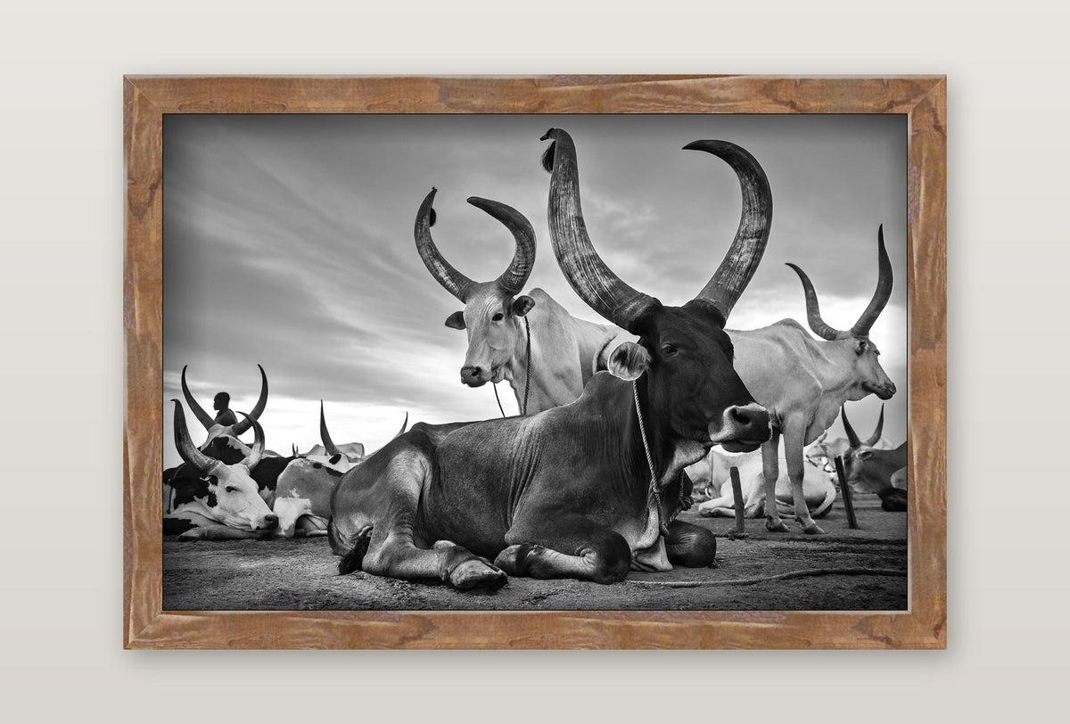 framed