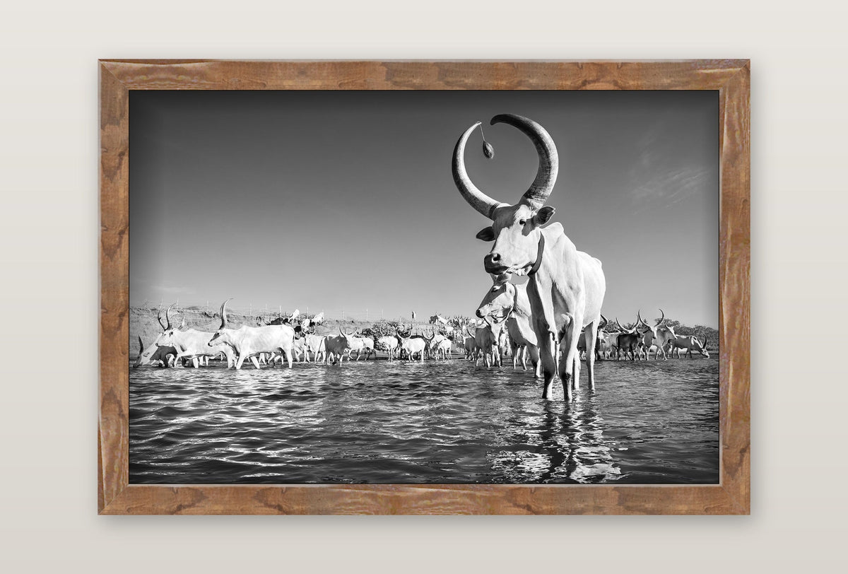 framed