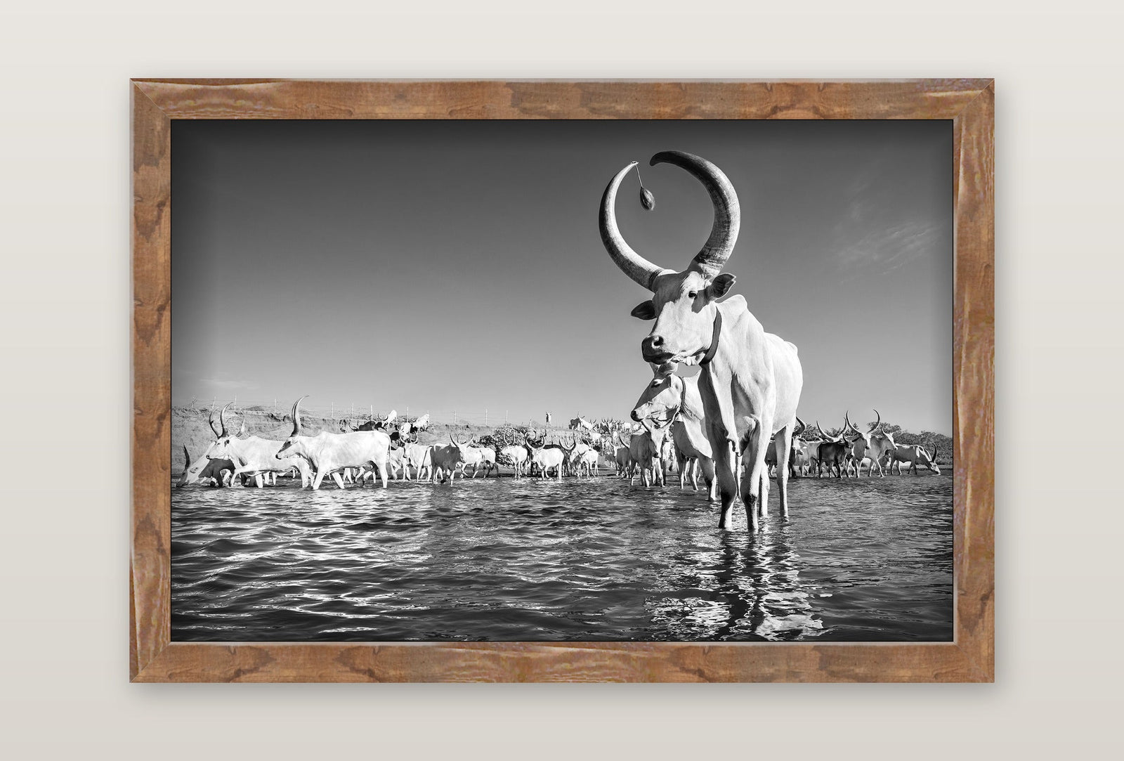 framed