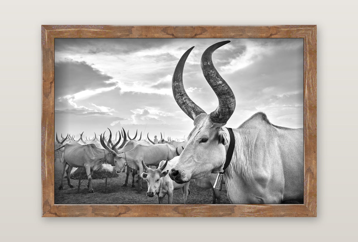 framed