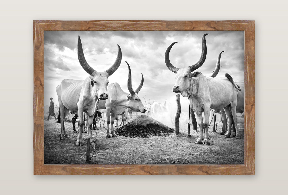 framed