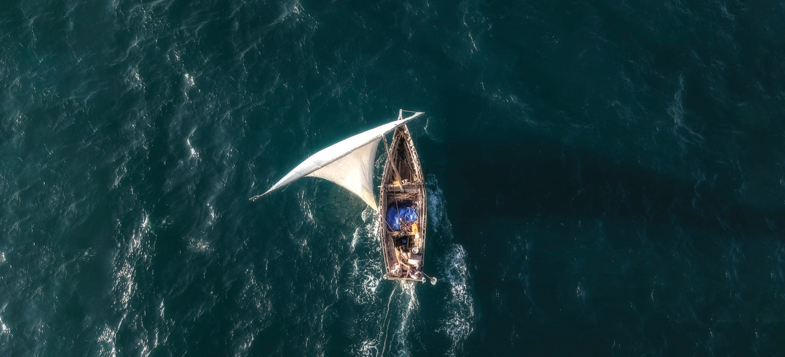 Dhow at sea by Wim van den Heever
