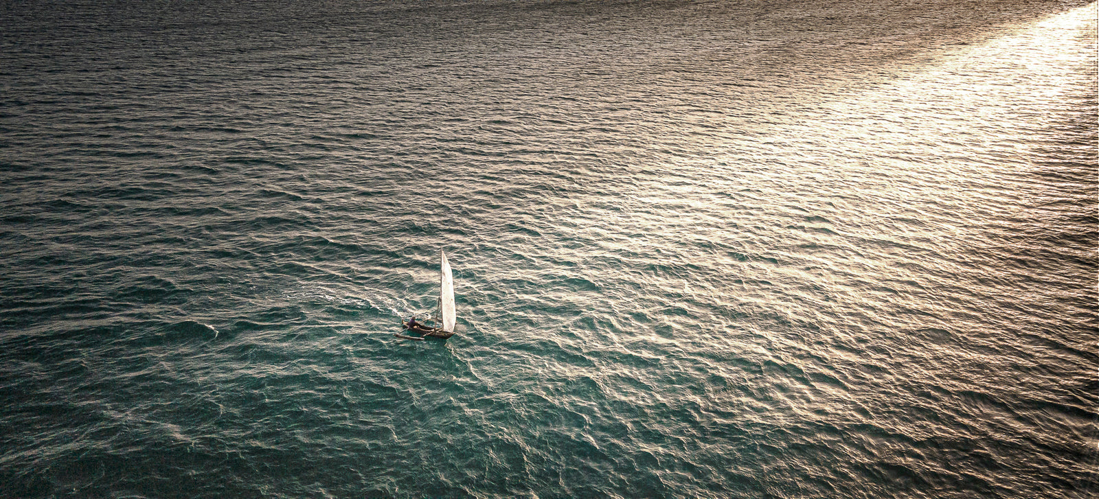 Dhow at sea by Wim van den Heever