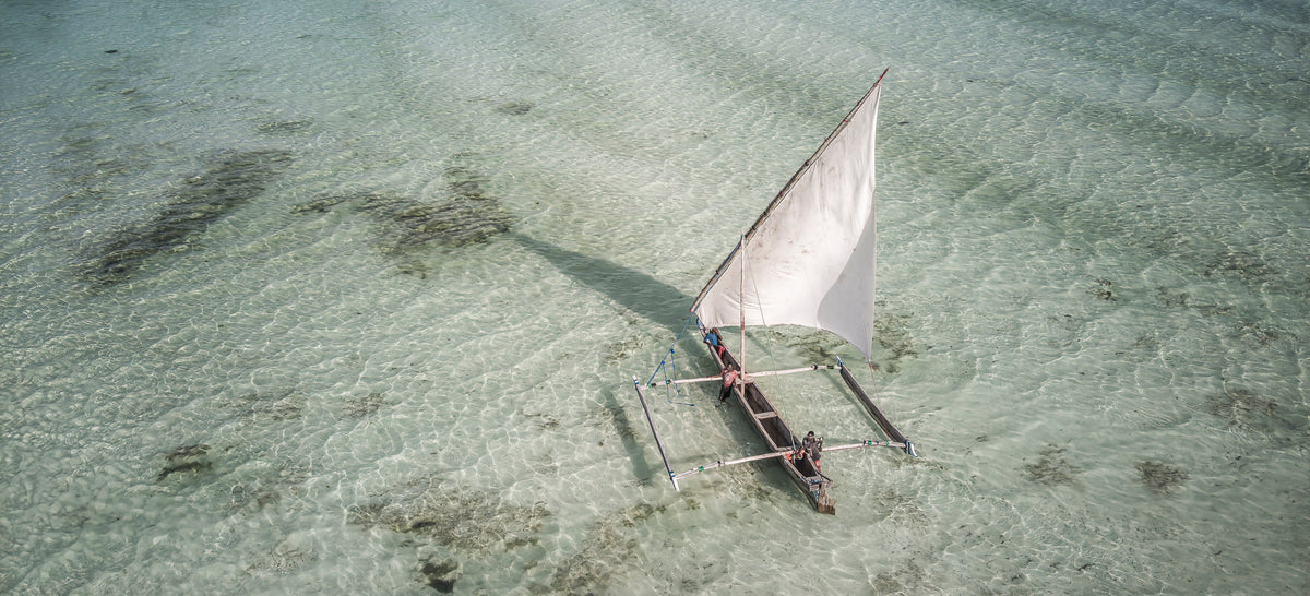 Dhow at sea by Wim van den Heever