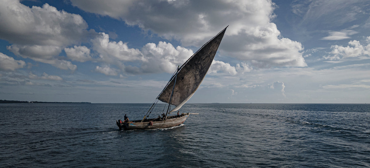 Dhow at sea by Wim van den Heever