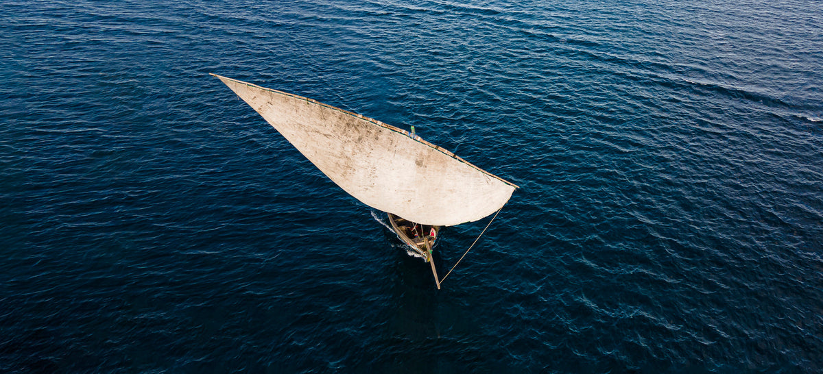 Dhow at sea by Wim van den Heever