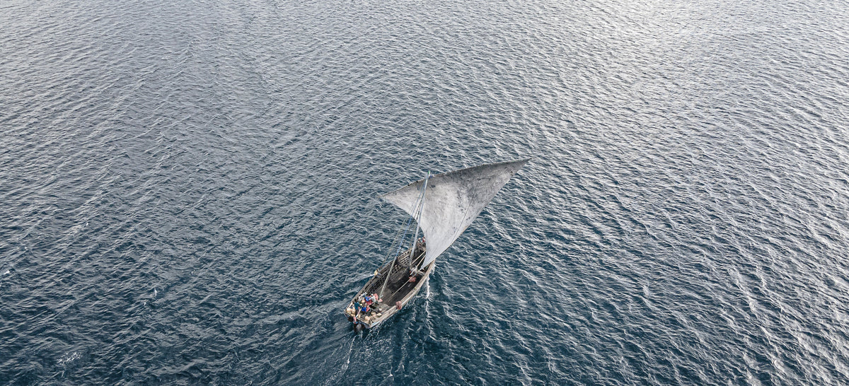 Dhow at sea by Wim van den Heever