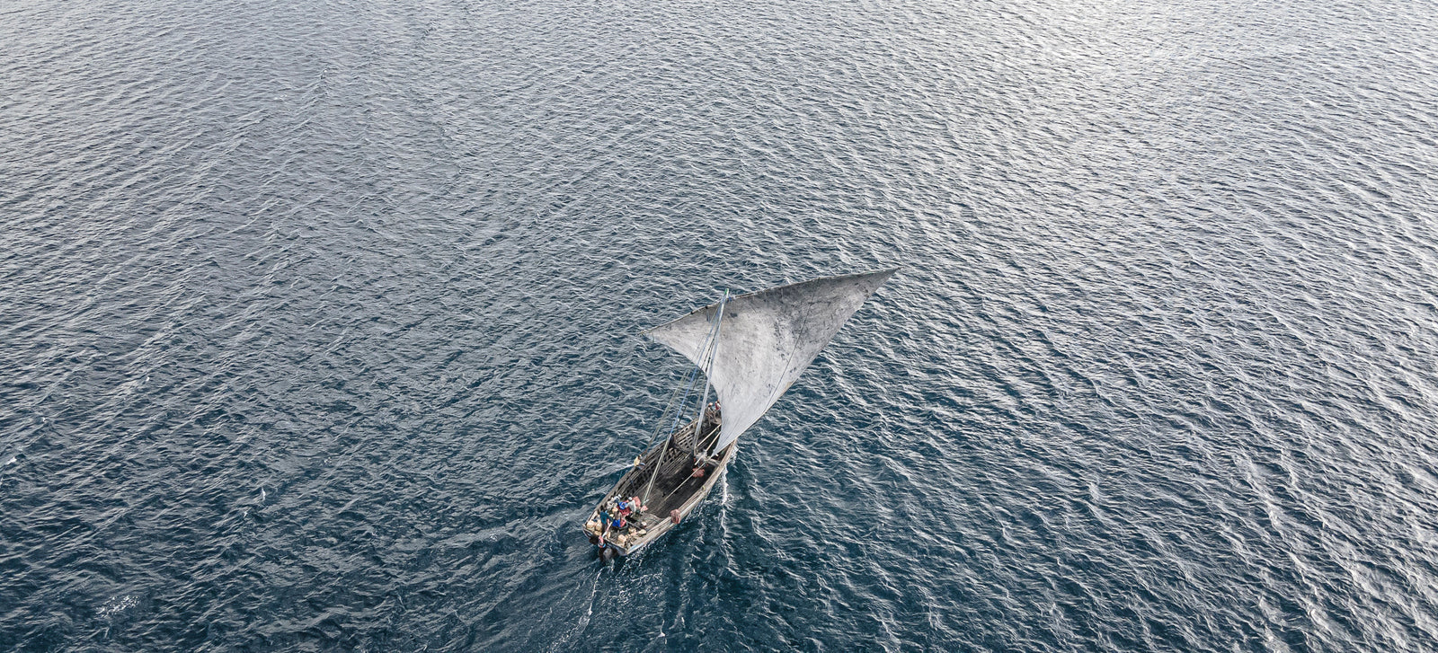 Dhow at sea by Wim van den Heever