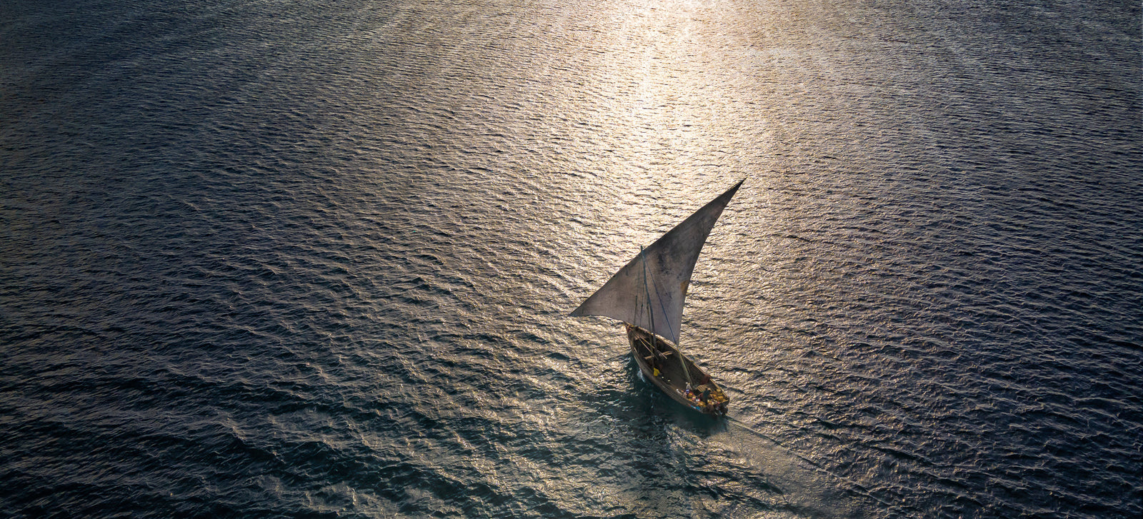Dhow at sea by Wim van den Heever