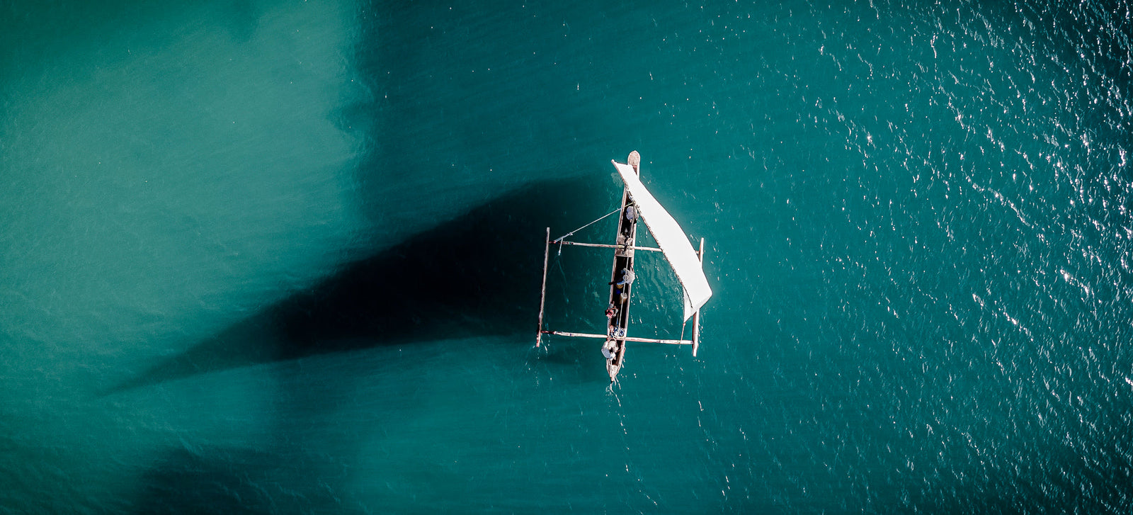 Dhow at sea by Wim van den Heever