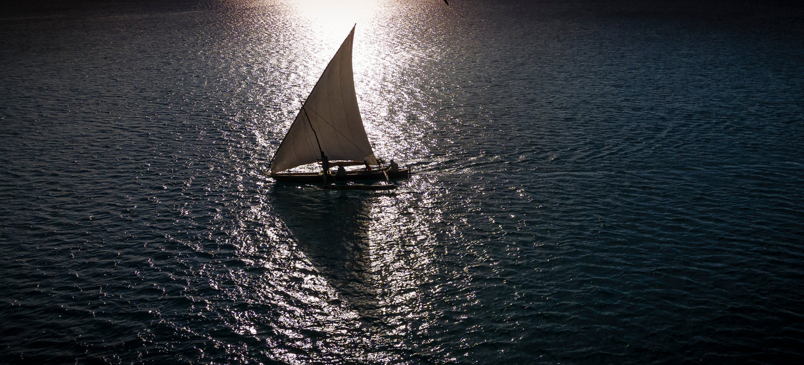 Dhow at sea by Wim van den Heever