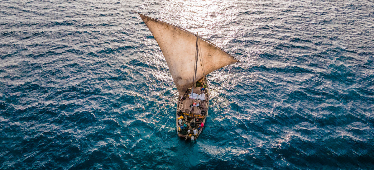 Dhow at sea by Wim van den Heever