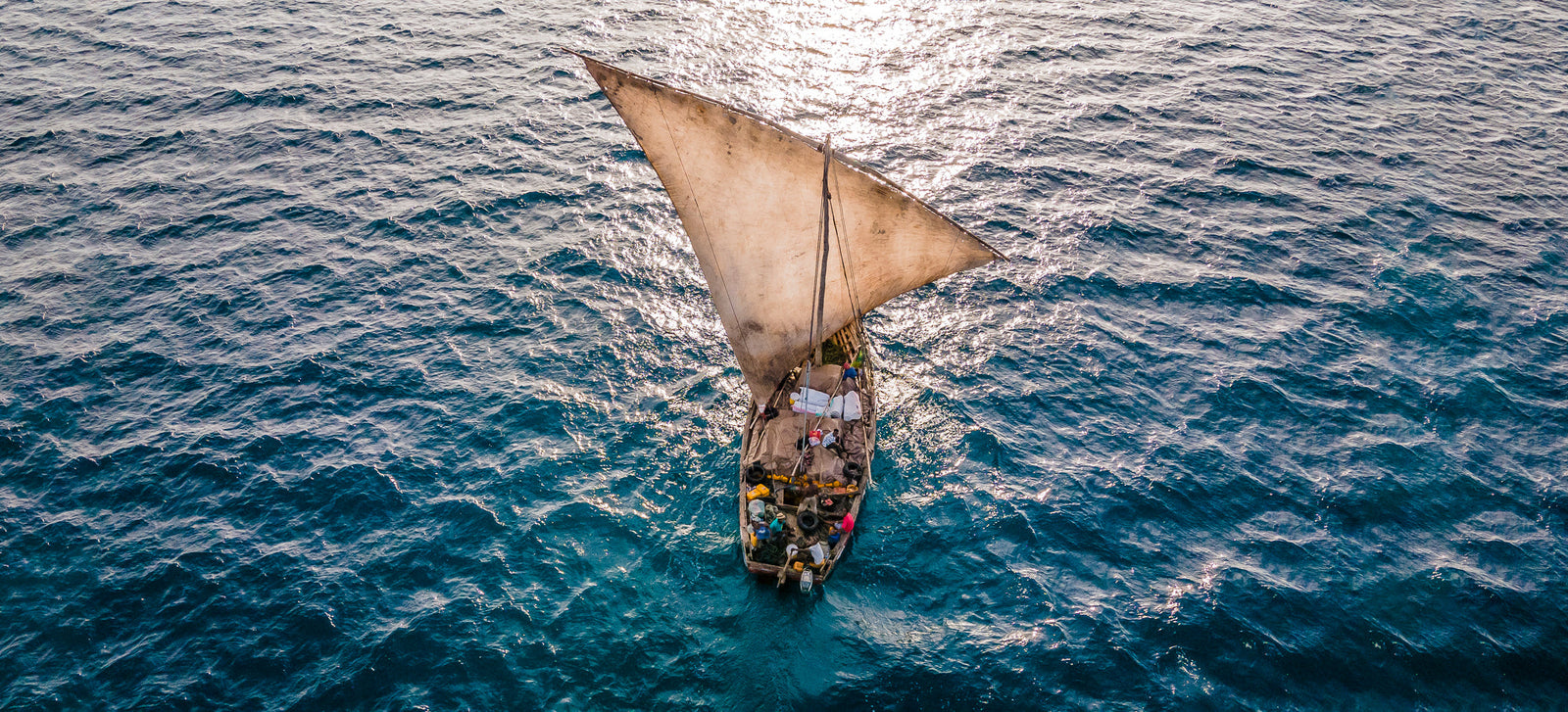 Dhow at sea by Wim van den Heever