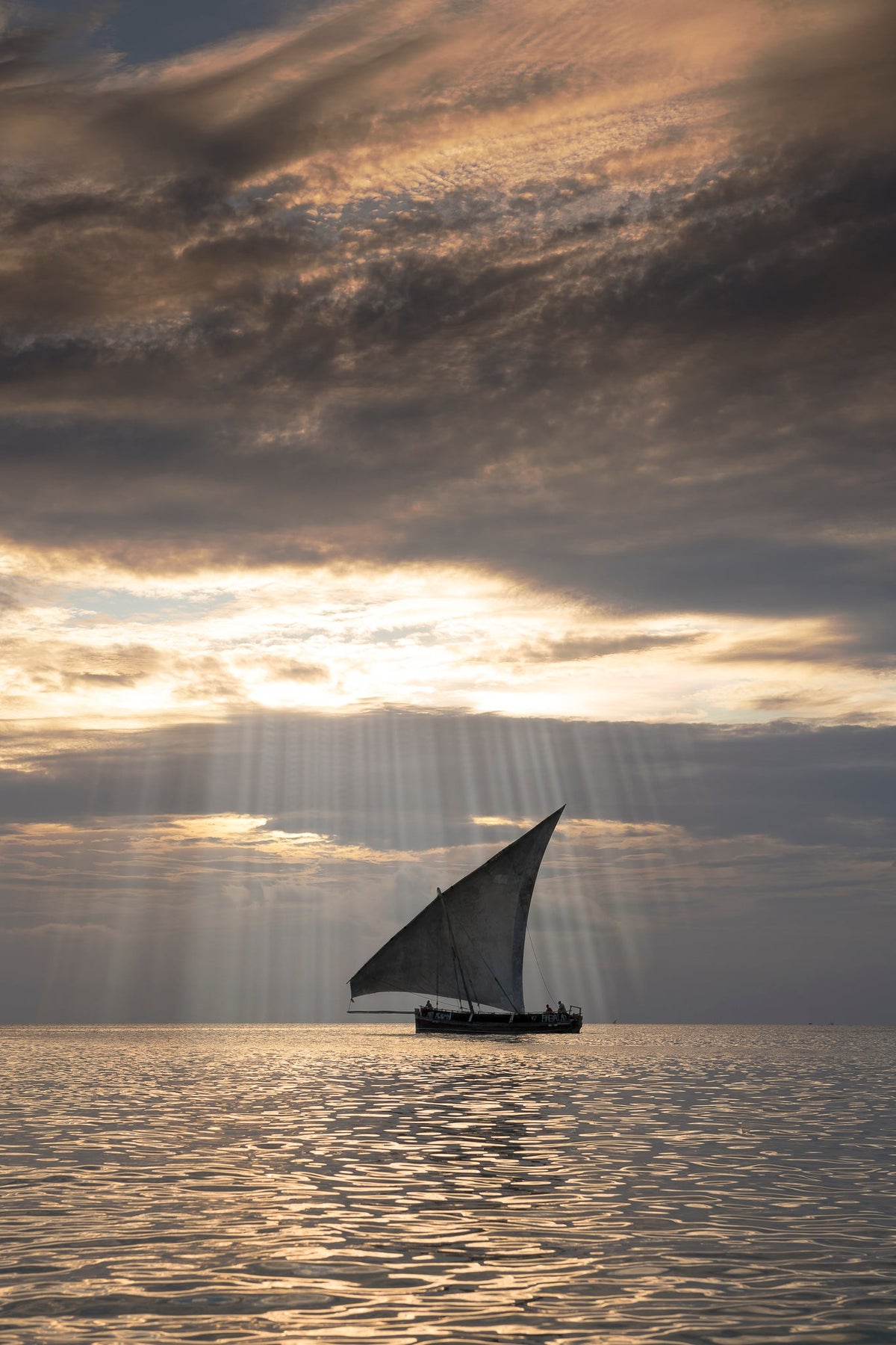 Dhow at sea by Wim van den Heever