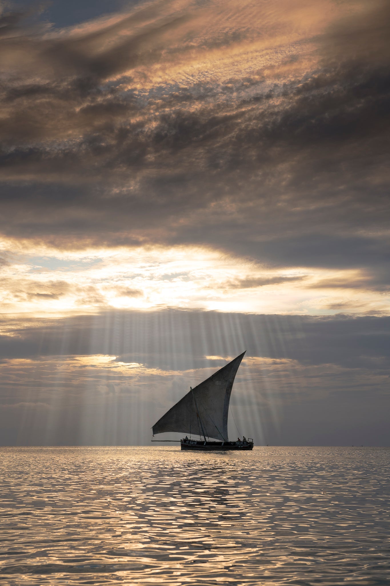 Dhow at sea by Wim van den Heever