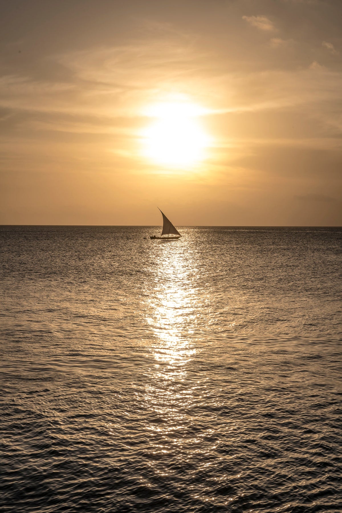 Dhow at sea by Wim van den Heever
