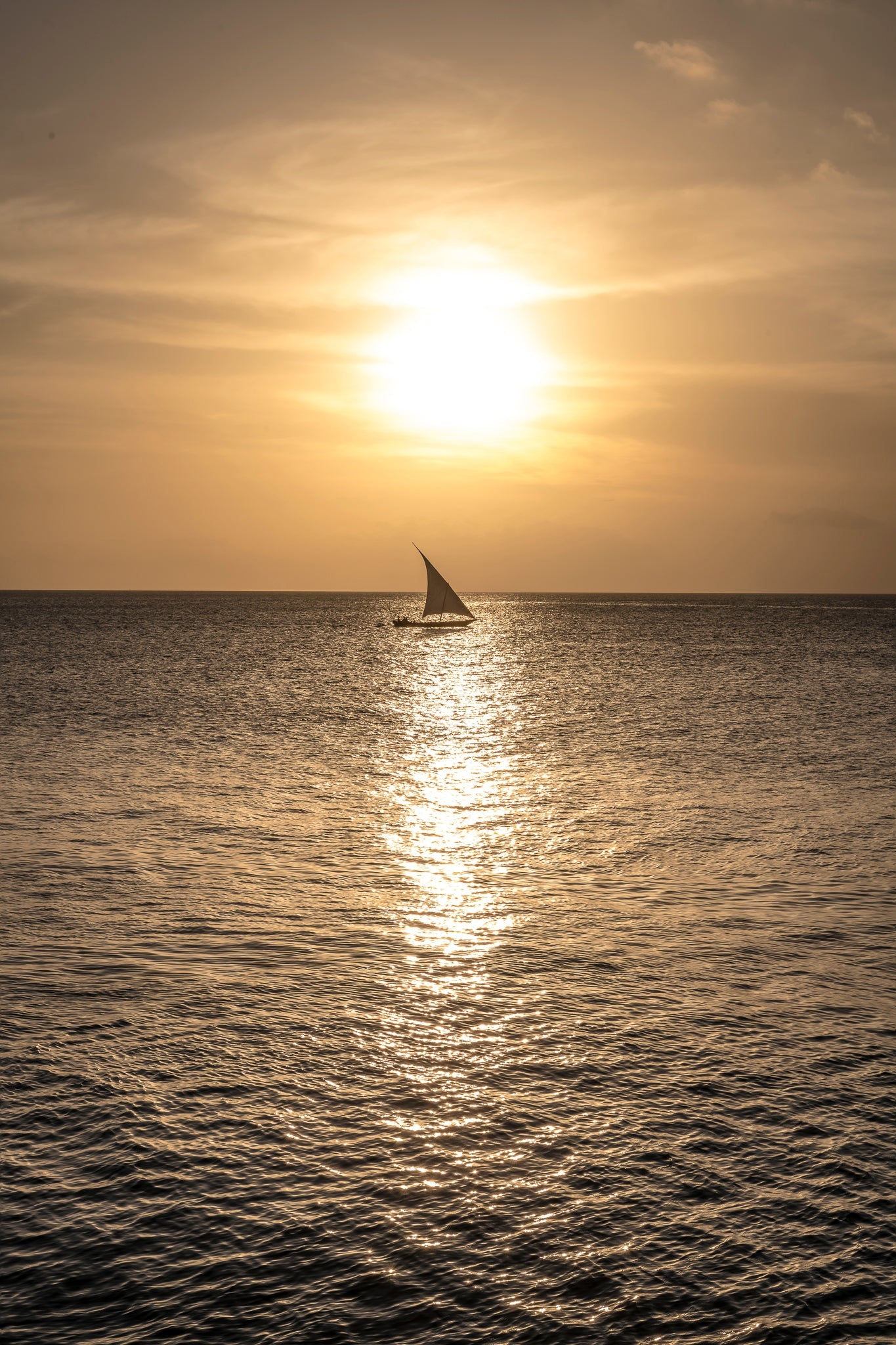 Dhow at sea by Wim van den Heever