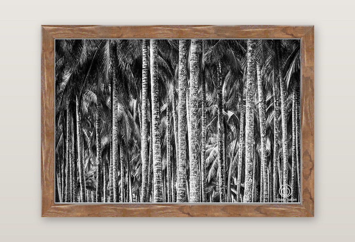 framed
