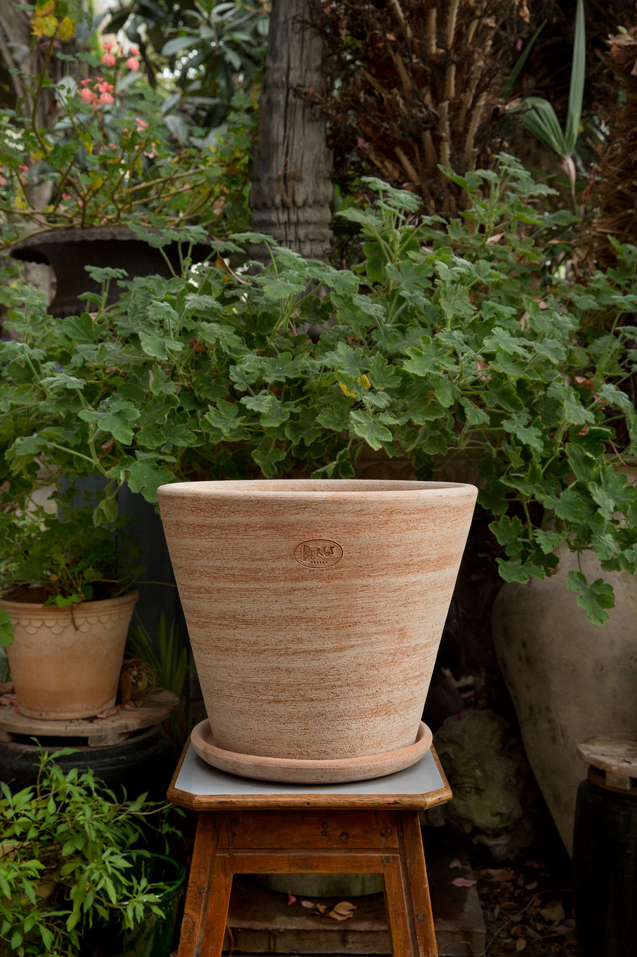 Julie Plant Pot and Saucer - Raw Antique Rosa
