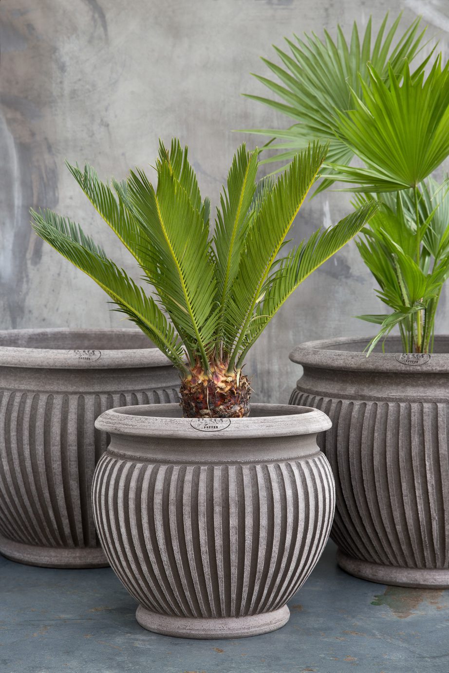 Picolina Pots