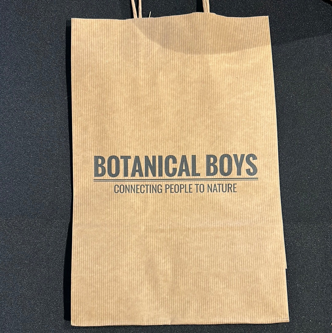 Botanical Boys vegetable printed eco friendly bag