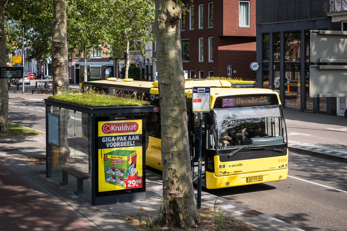 GreenRoof Sedum Panels
