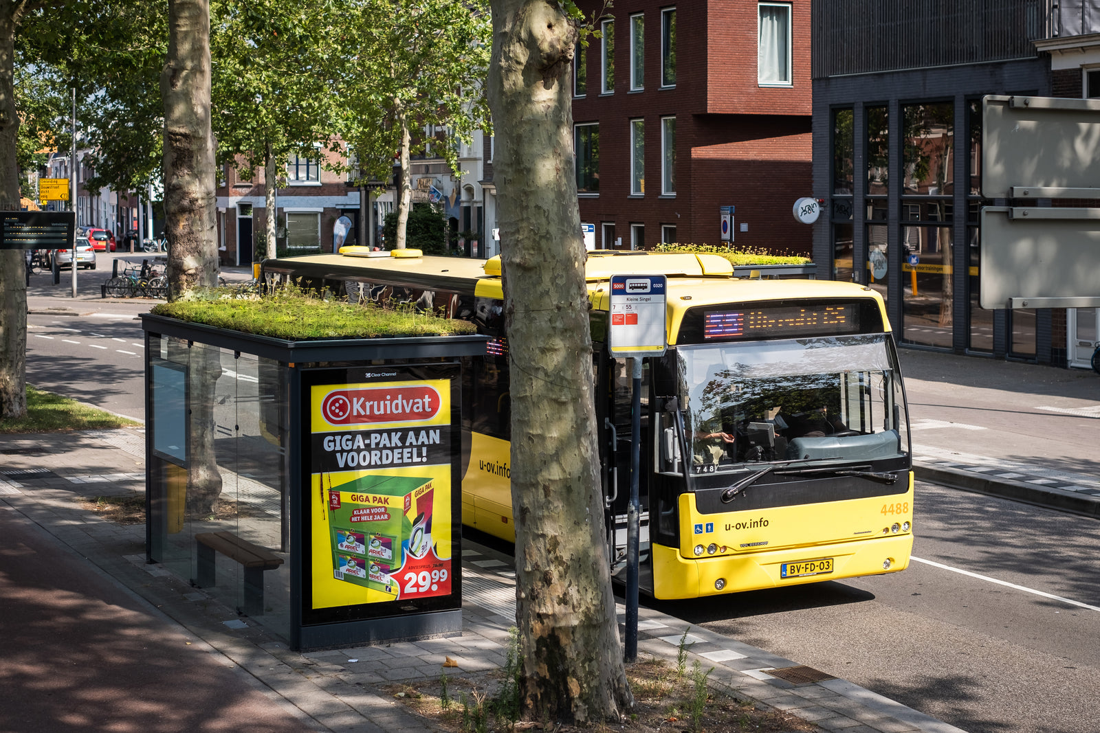 GreenRoof Sedum Panels