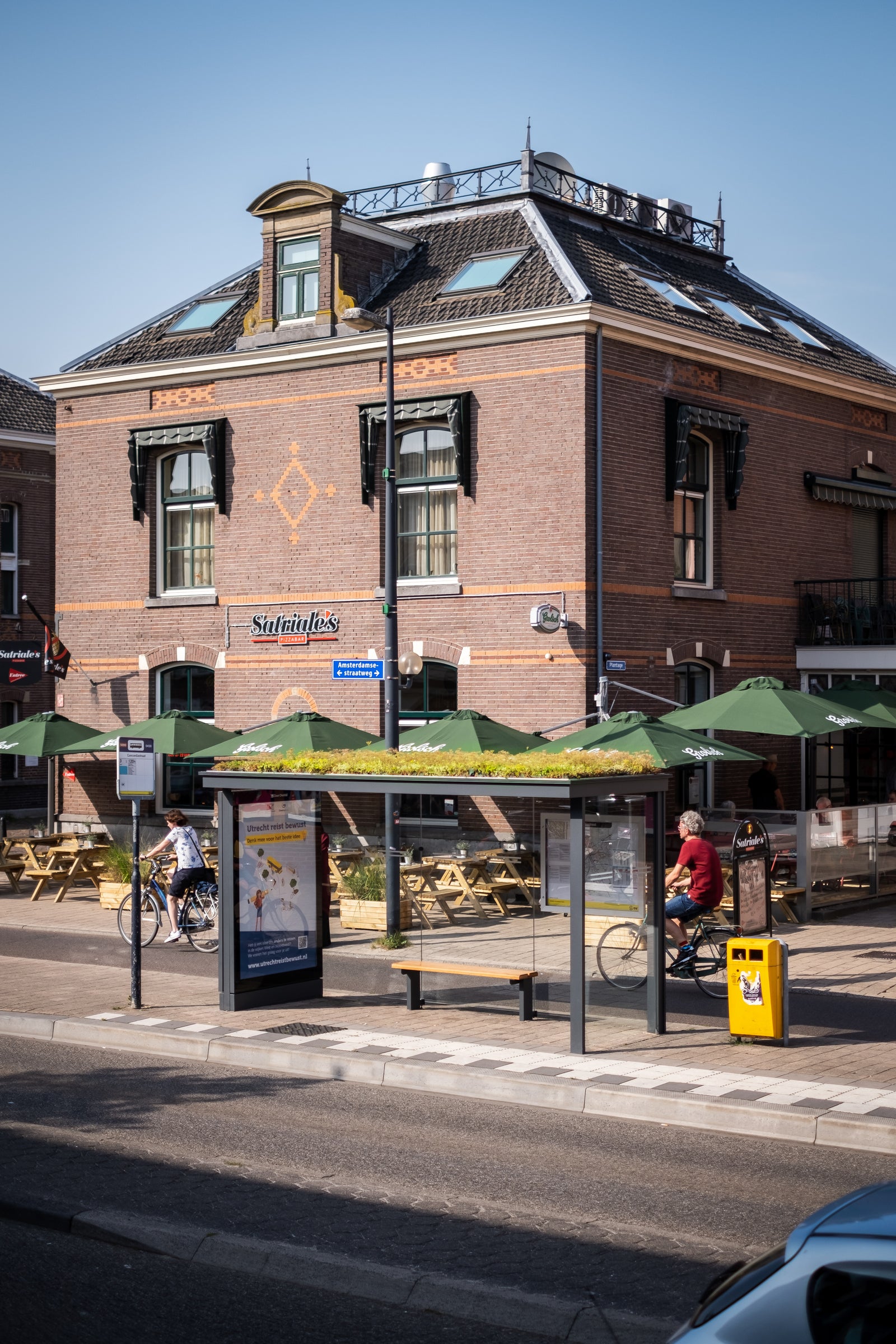 GreenRoof Sedum Panels