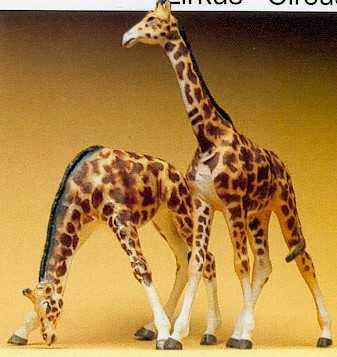 Circus Giraffe Terrarium Figues 20385