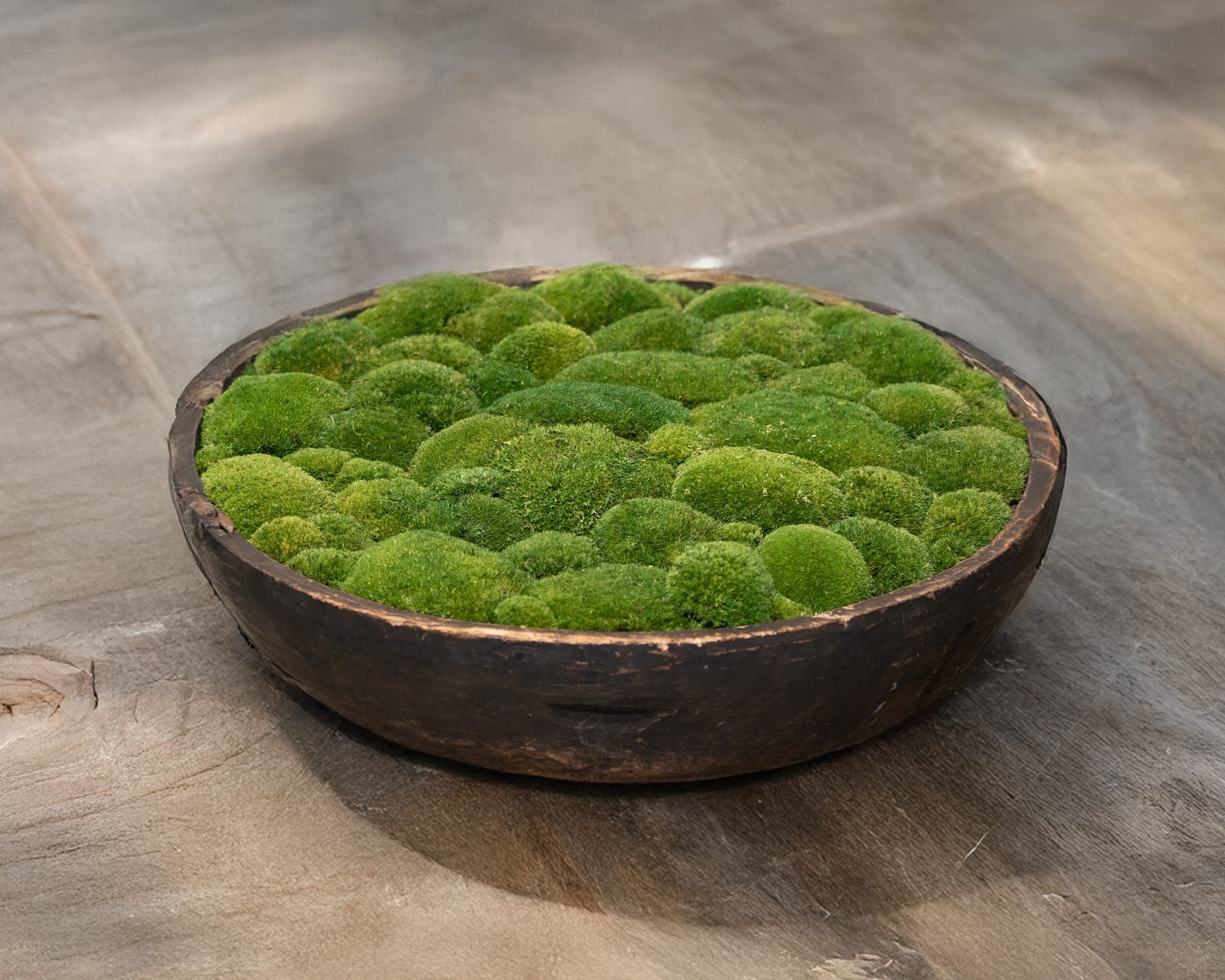 Vintage Wooden Bowl with moss FR59