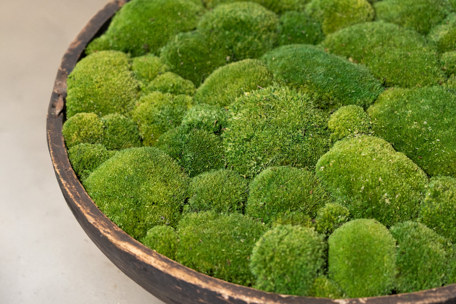 Vintage Wooden Bowl with moss FR59