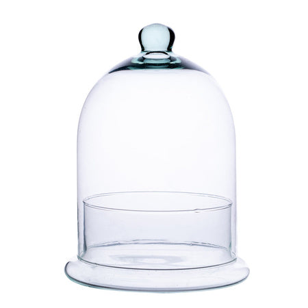 Terrarium Cloche Dome Jar H25 x D19cm