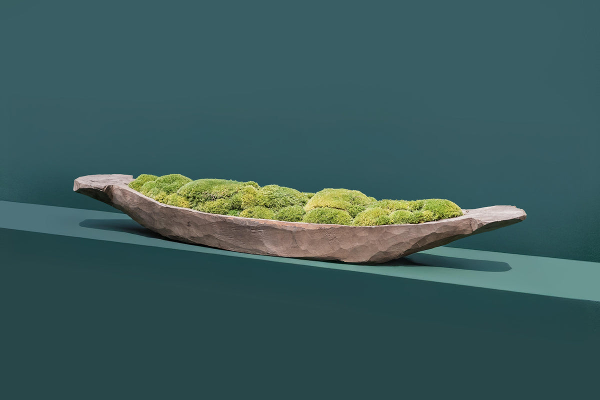 Mokoro Canoe with Preserved Moss Table Display FR60