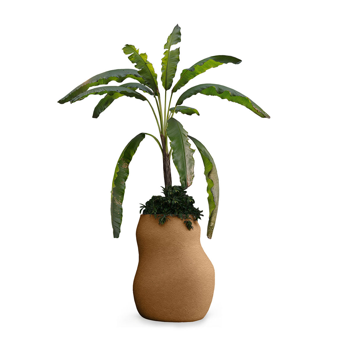 Pebble Planter Stone