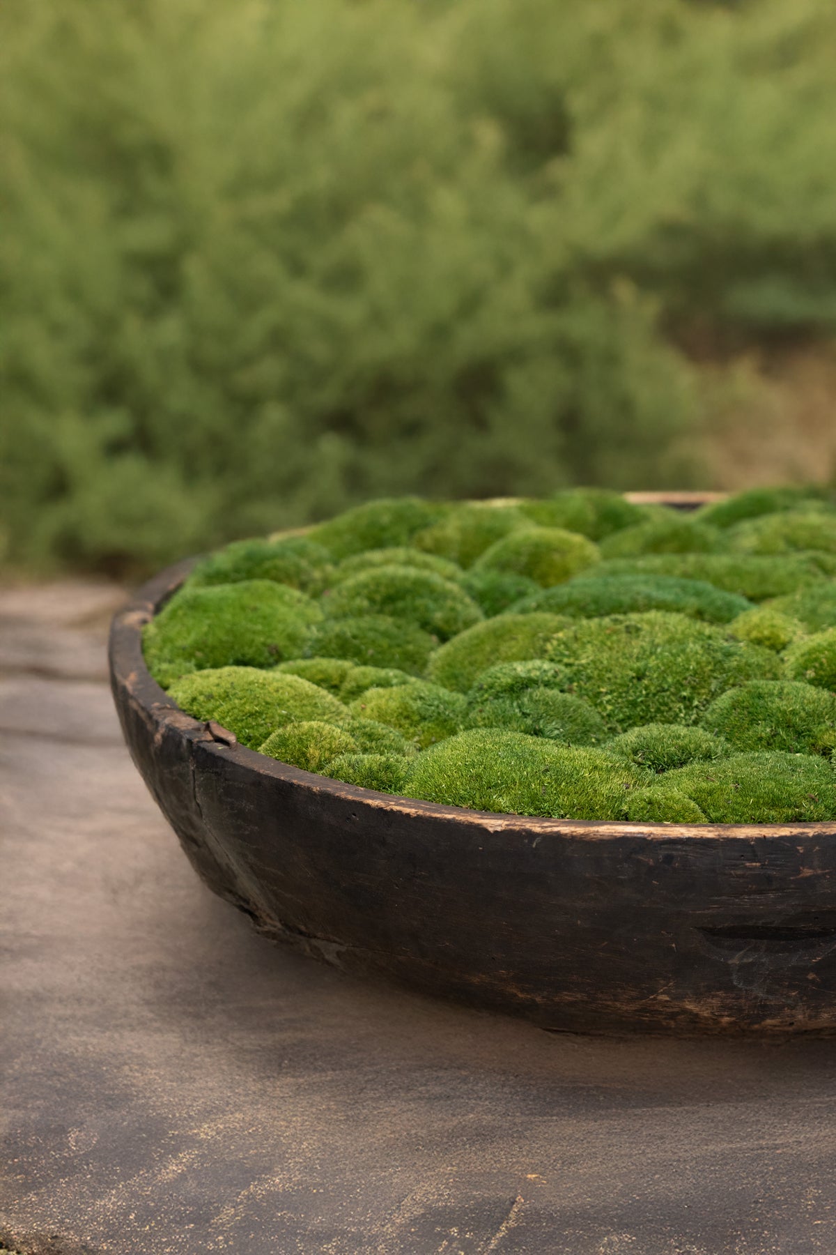 Vintage Wooden Bowl with moss FR59