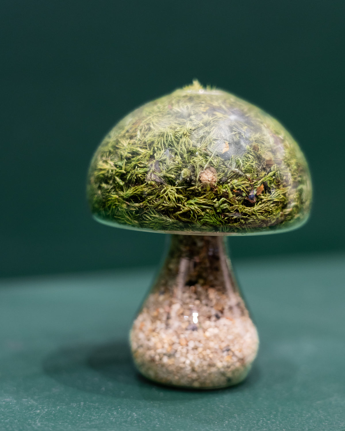Moss Mushroom - Round - Light Stone