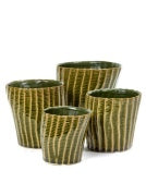 Ribs Pot