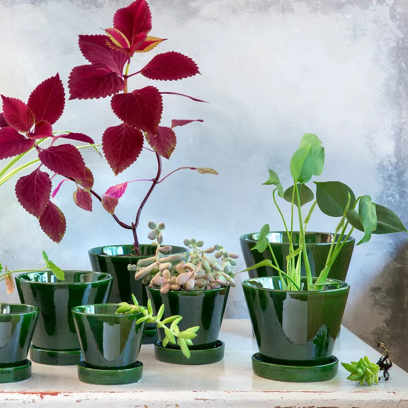 Julie Plant Pot and Saucer Glazed Emeral Green