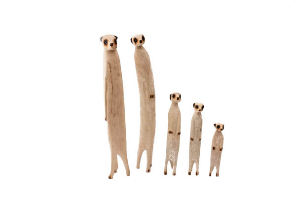 Zim Meerkats