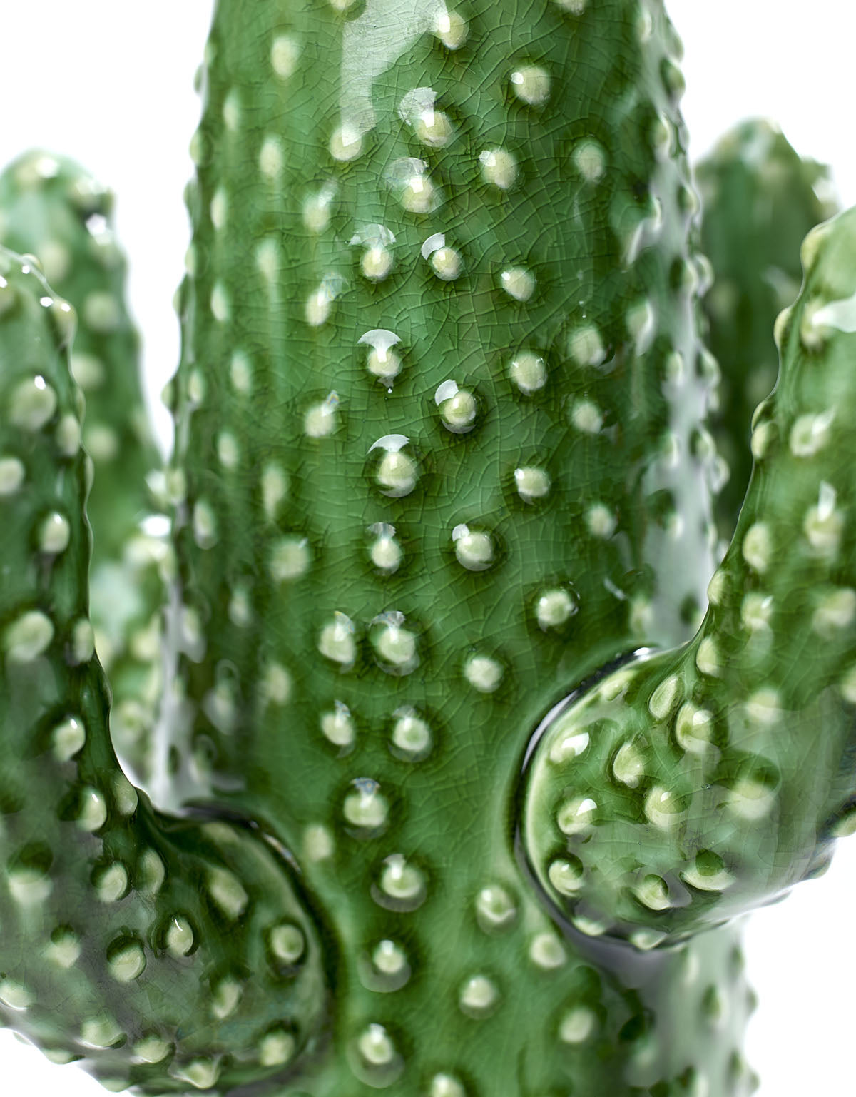 Cactus Small