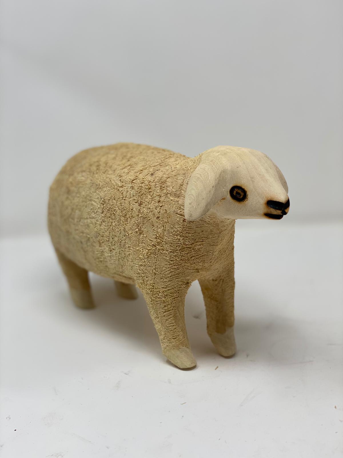 Swazi Sheep