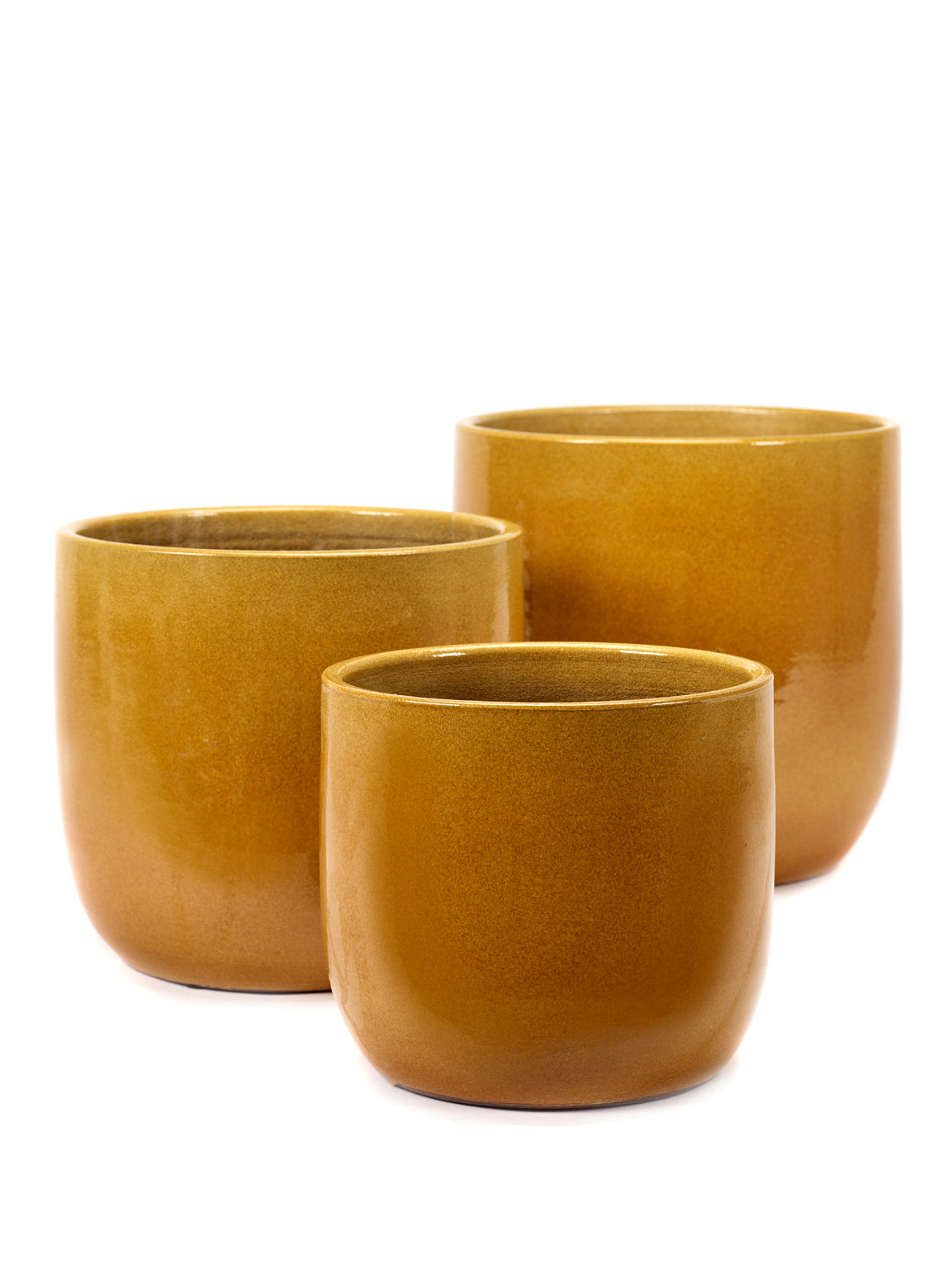 Honey Pot - Glazed