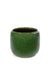 Costa Pot - Green Glazed