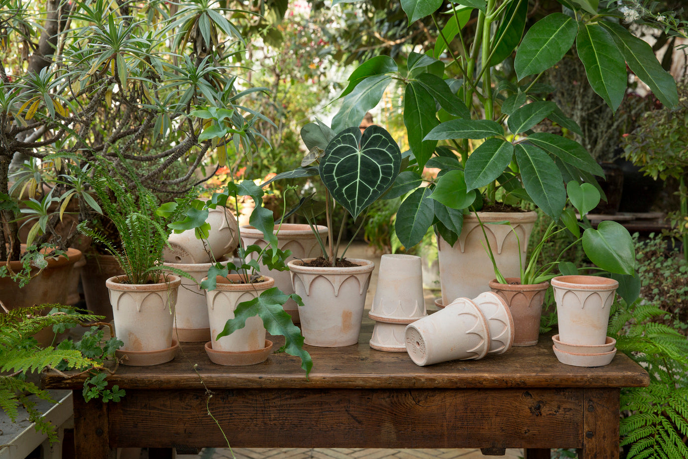 Elizabeth Pot
