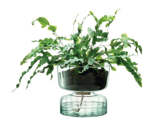 Self Watering Planter - 22cm Large