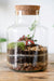 Slim Cork Jar Terrarium 19cm