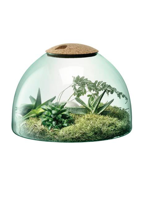 Developed in partnership with Cornwall's famous Eden Project, Canopy is a range of sustainably produced glassware
