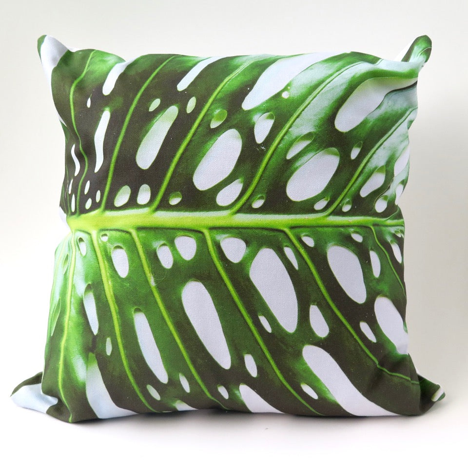 Delicious Monster (Monstera) 5
- Cushion Cover